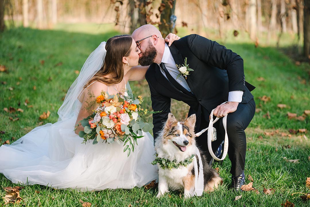 A groom and bride hunched over, kissing, with their dog at a Virginia winery and garden wedding venue in Leesburg, Virginia.